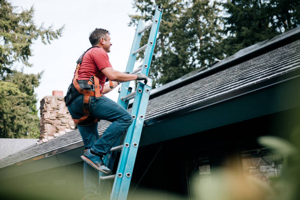 Best Steel Roofing  in Campti, LA