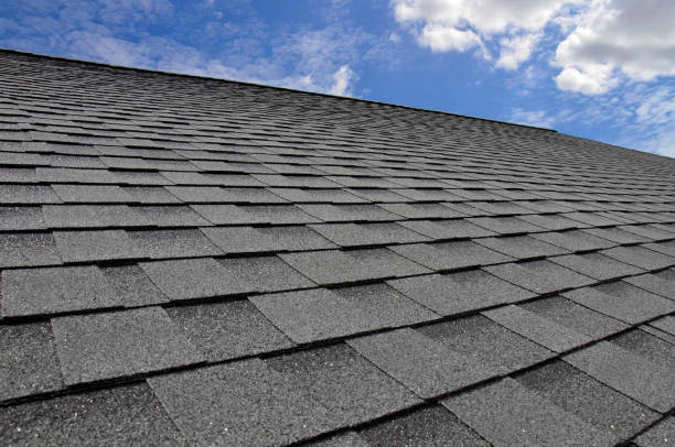 Best Roof Leak Repair  in Campti, LA
